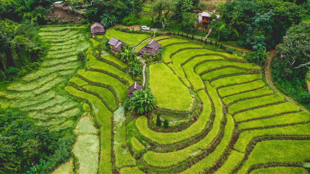 Desa Visesa Ubud