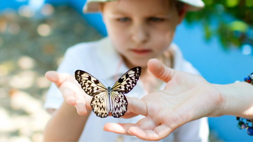 Kemenuh Butterfly Park Bali