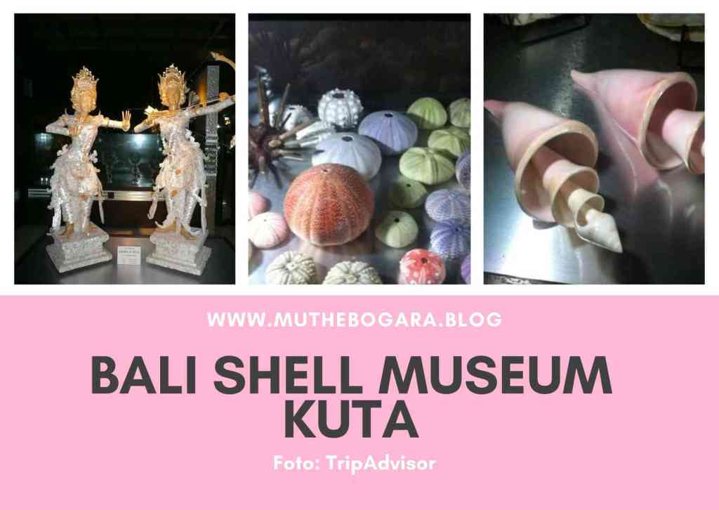 bali shell museum