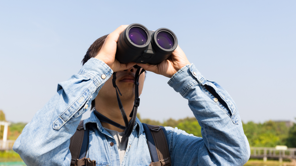 Tips birdwatching