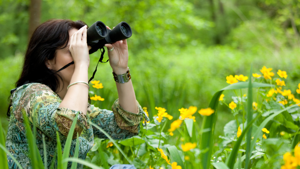 birdwatching sambil traveling