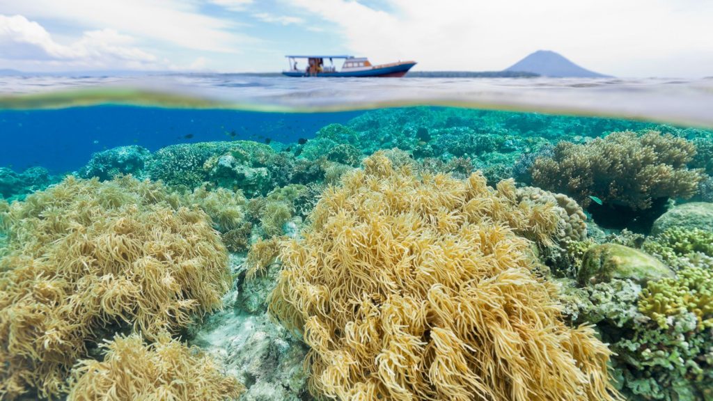 taman nasional laut untuk destinasi honey moon