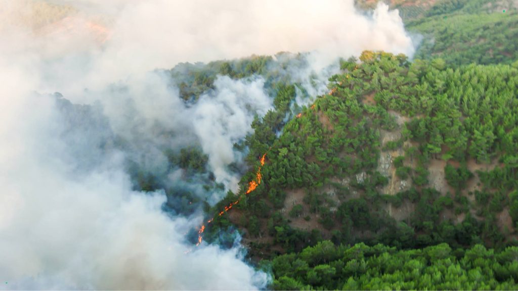 Kebakaran hutan dan lahan