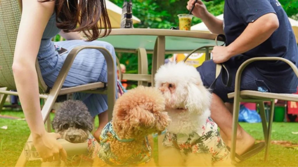 Healing bareng anabul di Jakarta Escape Citypark (Foto: @jkt.escape)