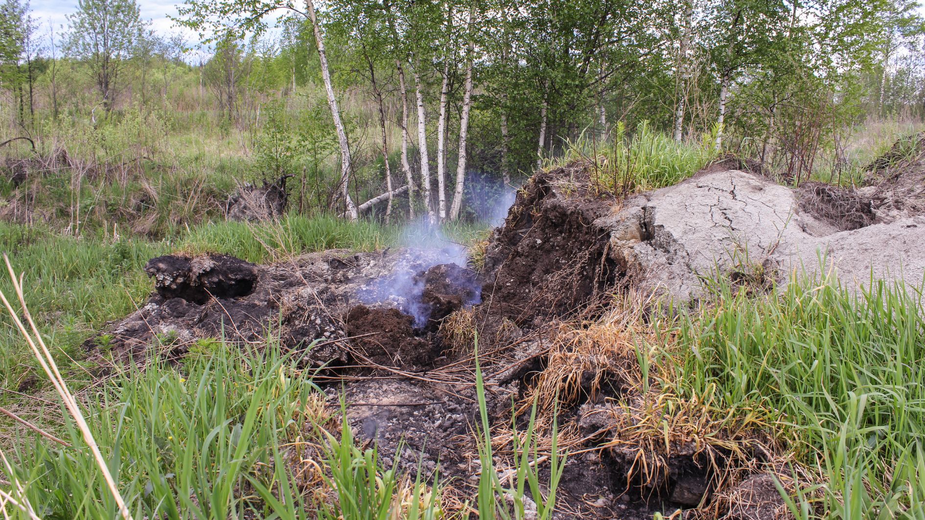 Krisis diam-diam mengancam gambut Muara Enim