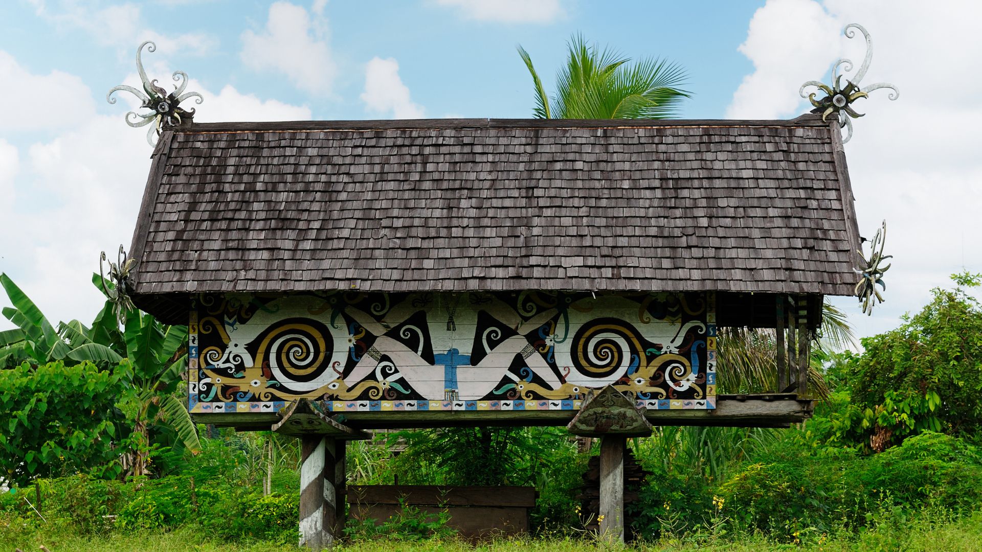 Hutan adat Seruyan (ilustrasi)