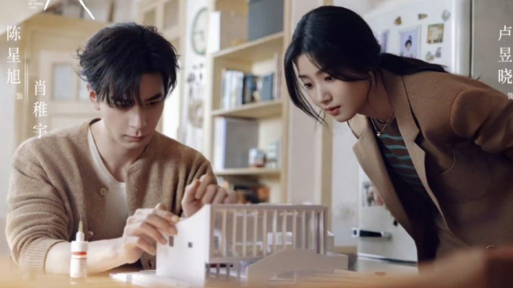 Review Love Between Lines