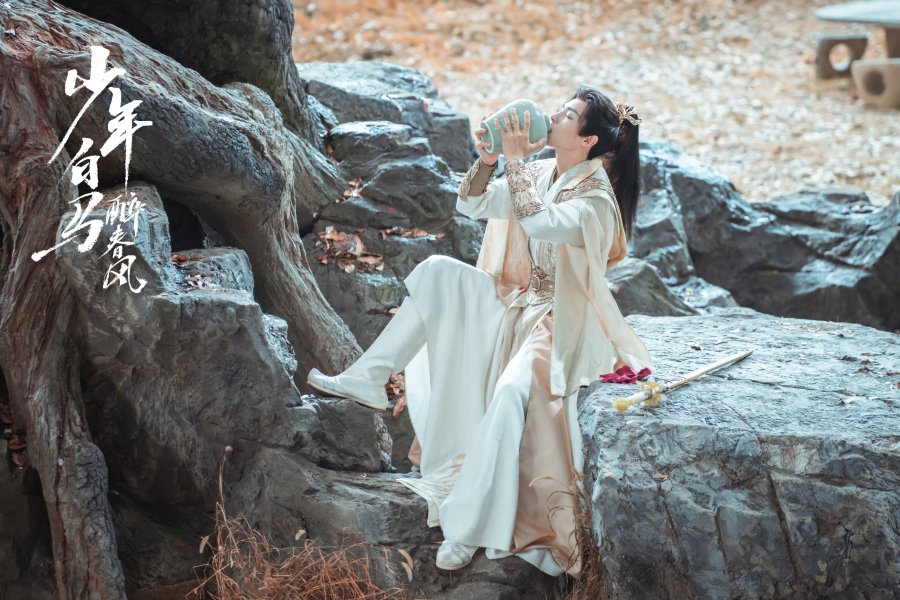 Baili Dongjun si raja mabuk