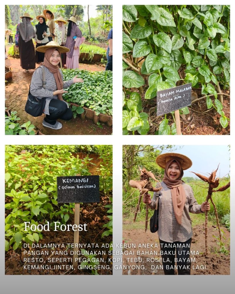 Kebun nutrisi dan kebun produksi Seniman Pangan