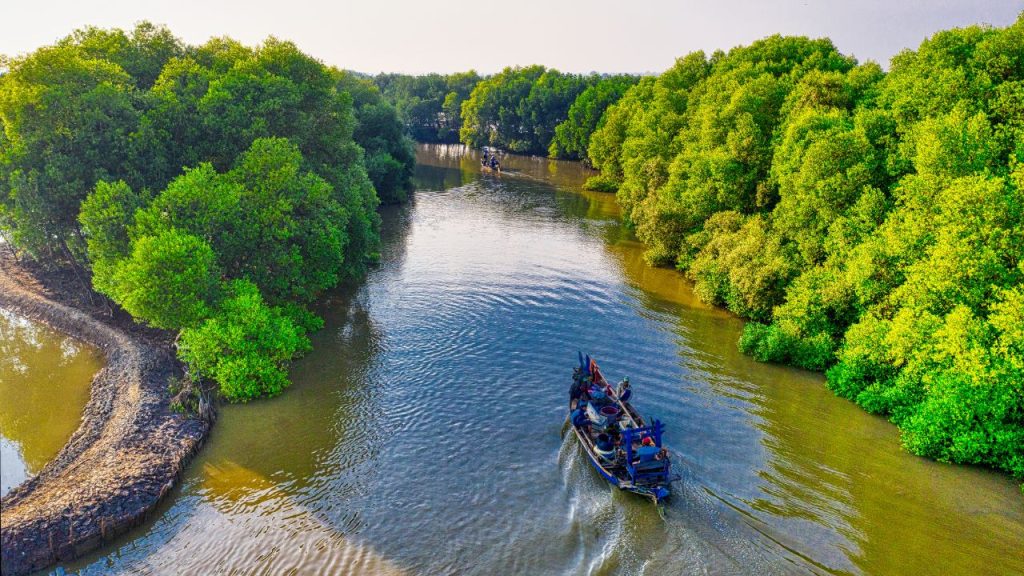 Mangrove untuk ketahanan pangan dan ekonomi Raja Ampat