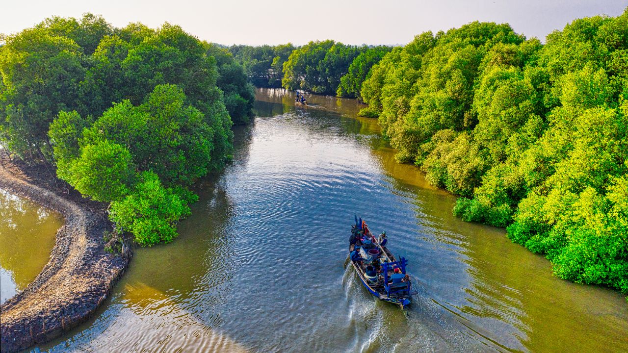 Mangrove untuk ketahanan pangan dan ekonomi Raja Ampat